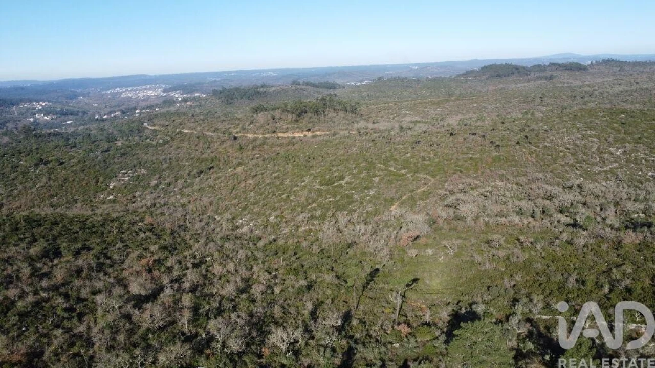 Terreno para Venda em Freixianda, Ribeira do Fárrio e Formigais Foto 4