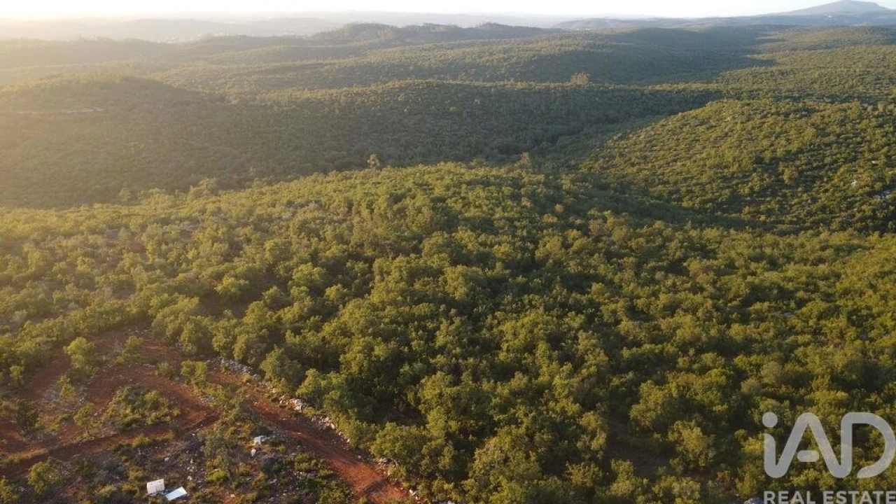 Terreno para Venda em Freixianda, Ribeira do Fárrio e Formigais Foto 5