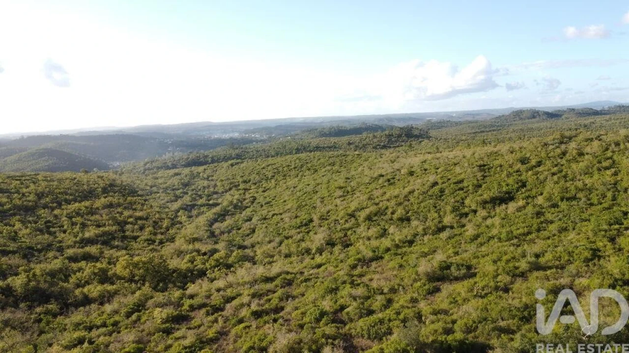 Terreno para Venda em Freixianda, Ribeira do Fárrio e Formigais Foto 2
