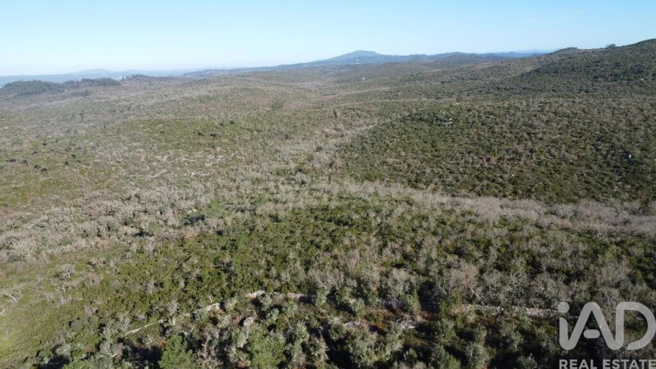 Terreno para Venda em Freixianda, Ribeira do Fárrio e Formigais Foto 10
