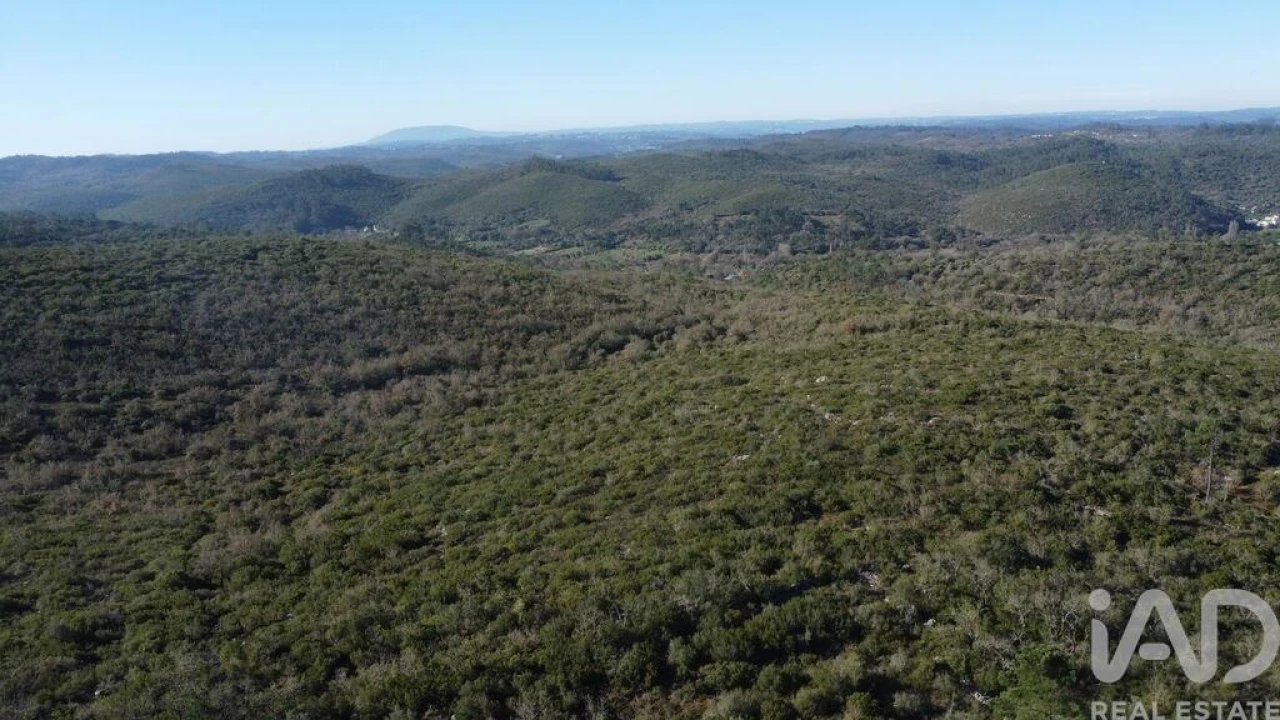 Terreno para Venda em Freixianda, Ribeira do Fárrio e Formigais Foto 9