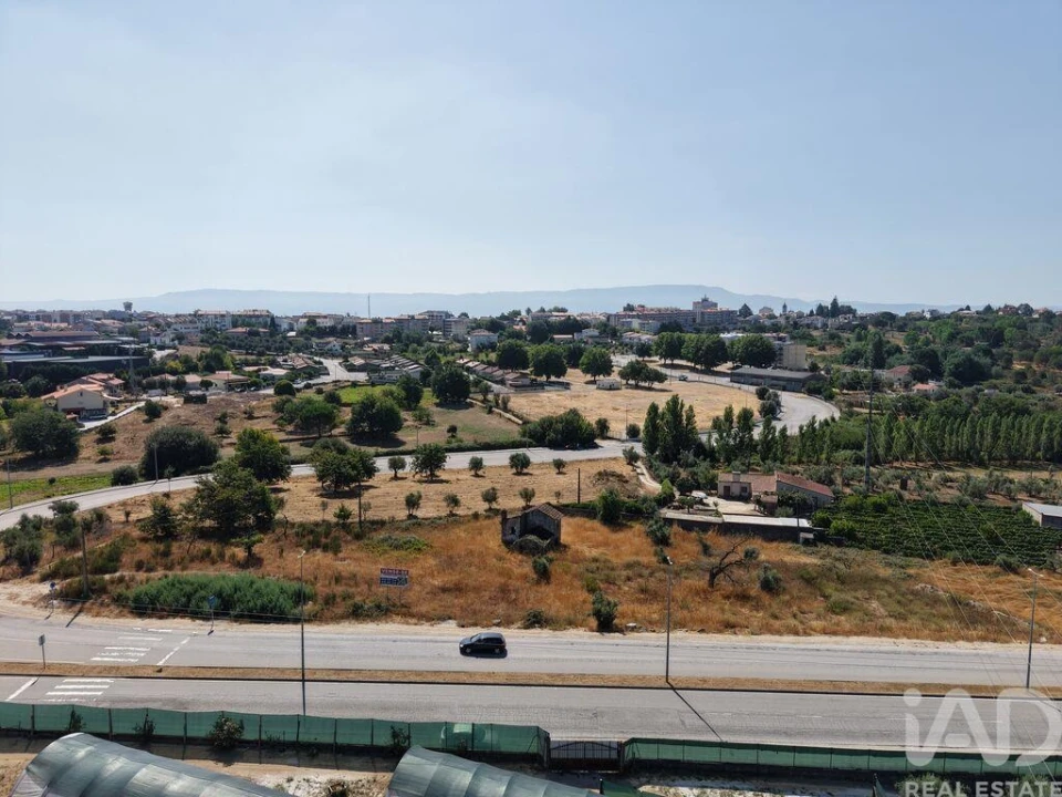 Terreno para Venda em Nelas Foto 3