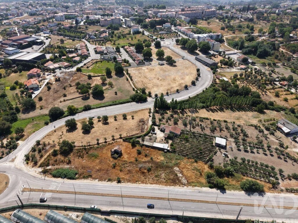 Terreno para Venda em Nelas Foto 4