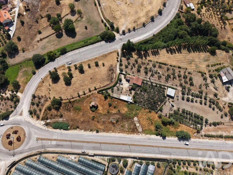Terreno para Venda em Nelas Foto 5