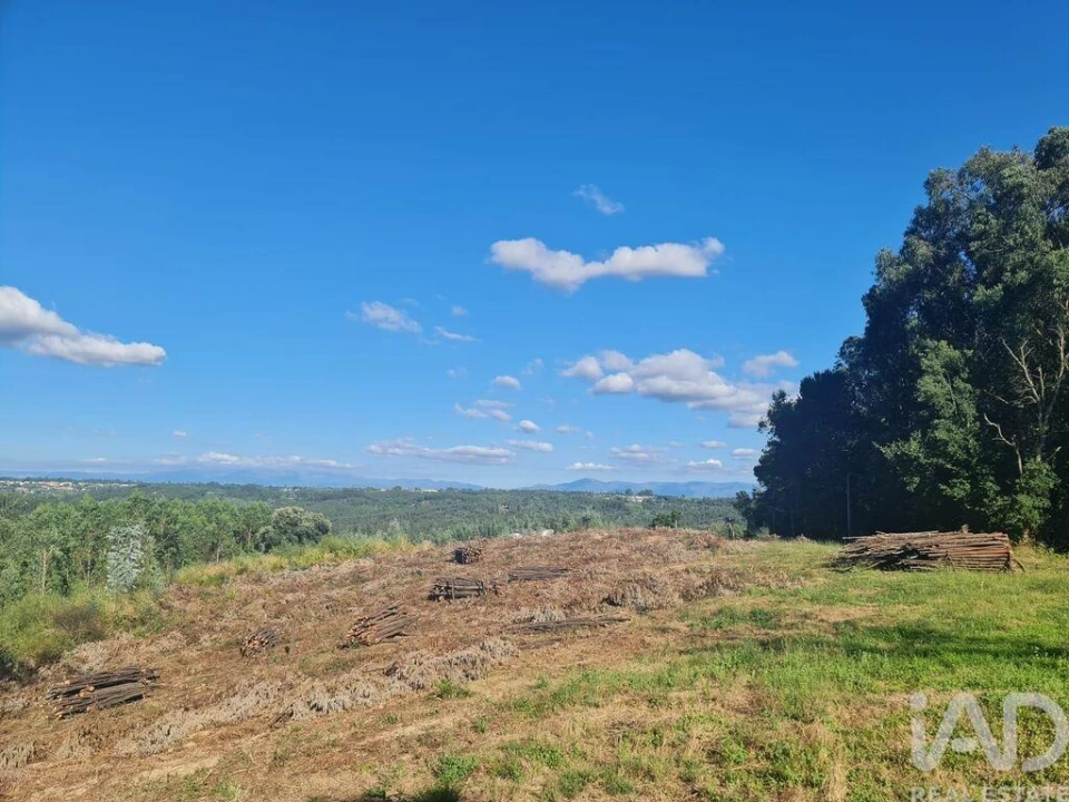 Terreno para Venda em Santa Comba Dão e Couto do Mosteiro Foto 3