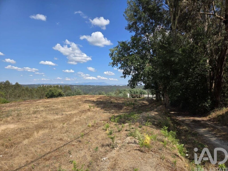 Terreno para Venda em Santa Comba Dão e Couto do Mosteiro Foto 14