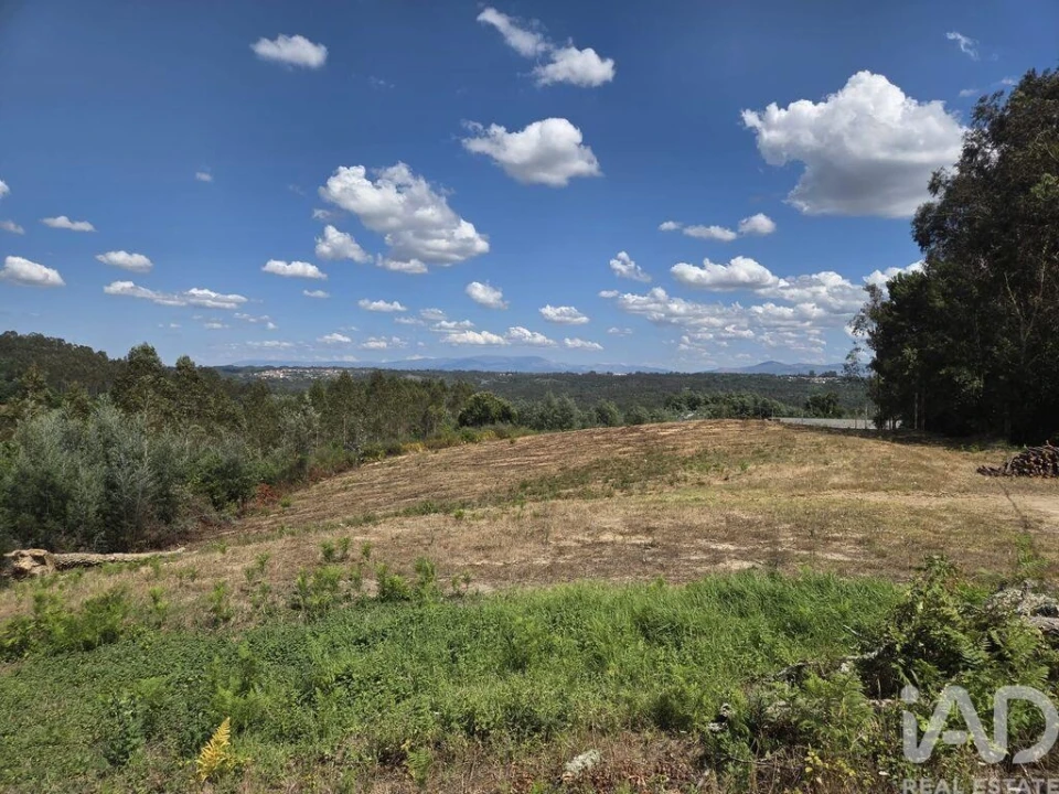 Terreno para Venda em Santa Comba Dão e Couto do Mosteiro Foto 18