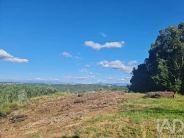 Terreno para Venda em Santa Comba Dão e Couto do Mosteiro