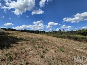 Terreno para Venda em Santa Comba Dão e Couto do Mosteiro