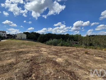 Terreno para Venda em Santa Comba Dão e Couto do Mosteiro