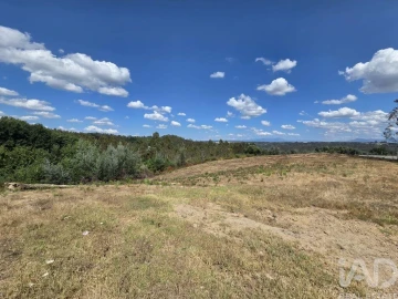 Terreno para Venda em Santa Comba Dão e Couto do Mosteiro
