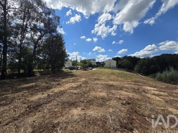 Terreno para Venda em Santa Comba Dão e Couto do Mosteiro