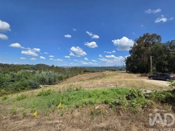 Terreno para Venda em Santa Comba Dão e Couto do Mosteiro