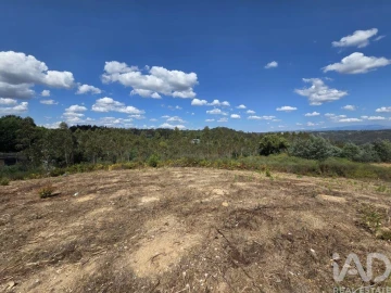 Terreno para Venda em Santa Comba Dão e Couto do Mosteiro