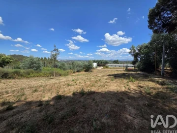 Terreno para Venda em Santa Comba Dão e Couto do Mosteiro