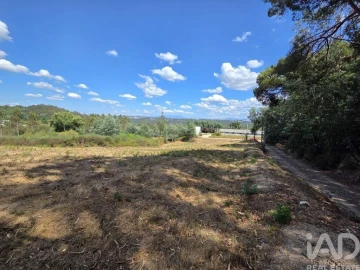 Terreno para Venda em Santa Comba Dão e Couto do Mosteiro