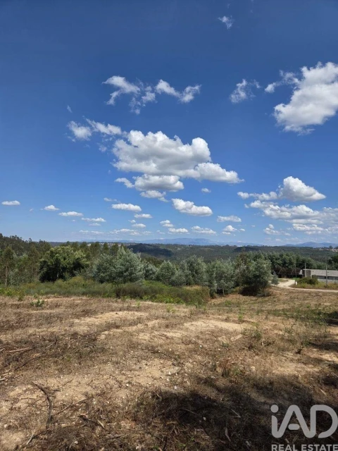 Terreno para Venda em Santa Comba Dão e Couto do Mosteiro