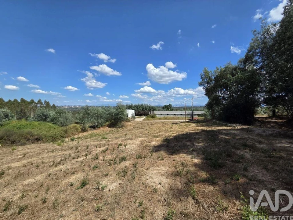 Terreno para Venda em Santa Comba Dão e Couto do Mosteiro Foto 24