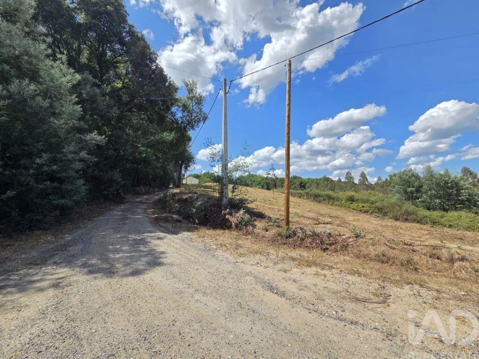 Terreno para Venda em Santa Comba Dão e Couto do Mosteiro Foto 27