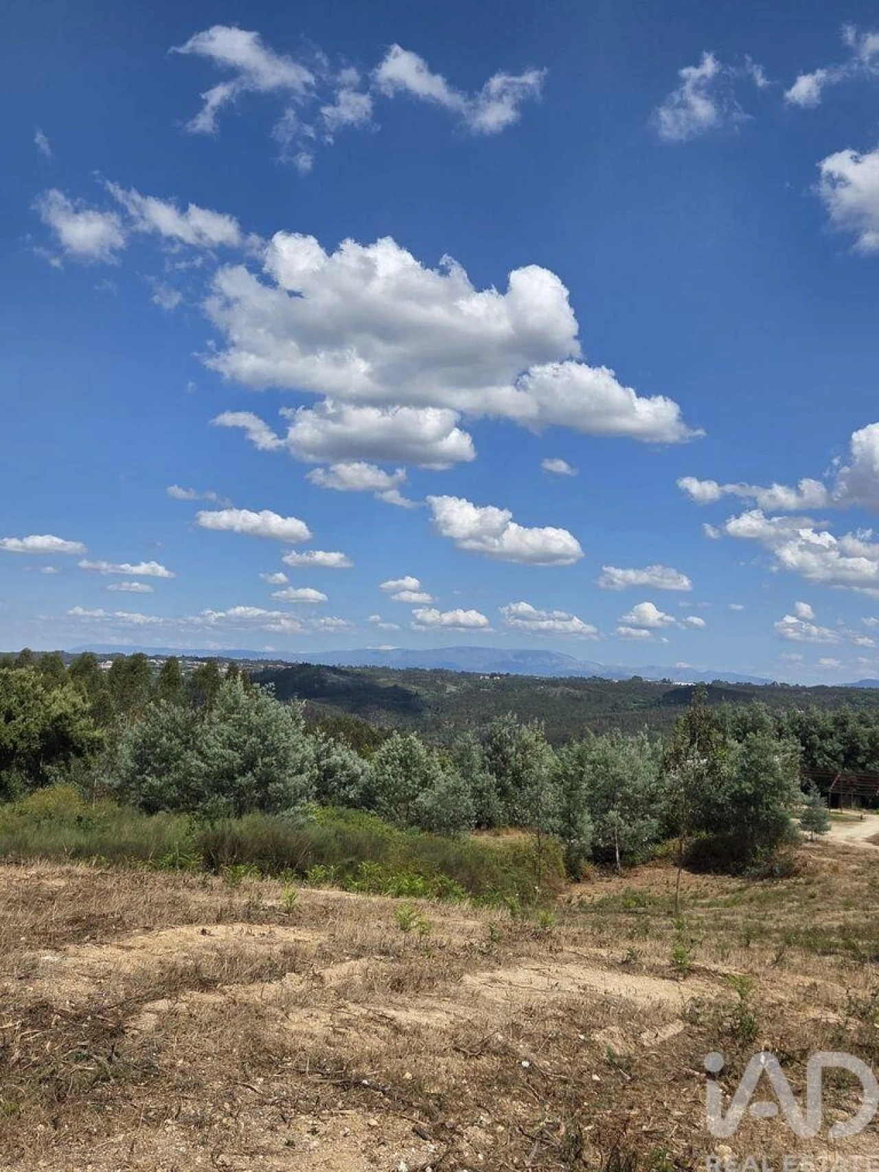 Terreno para Venda em Santa Comba Dão e Couto do Mosteiro Foto 6