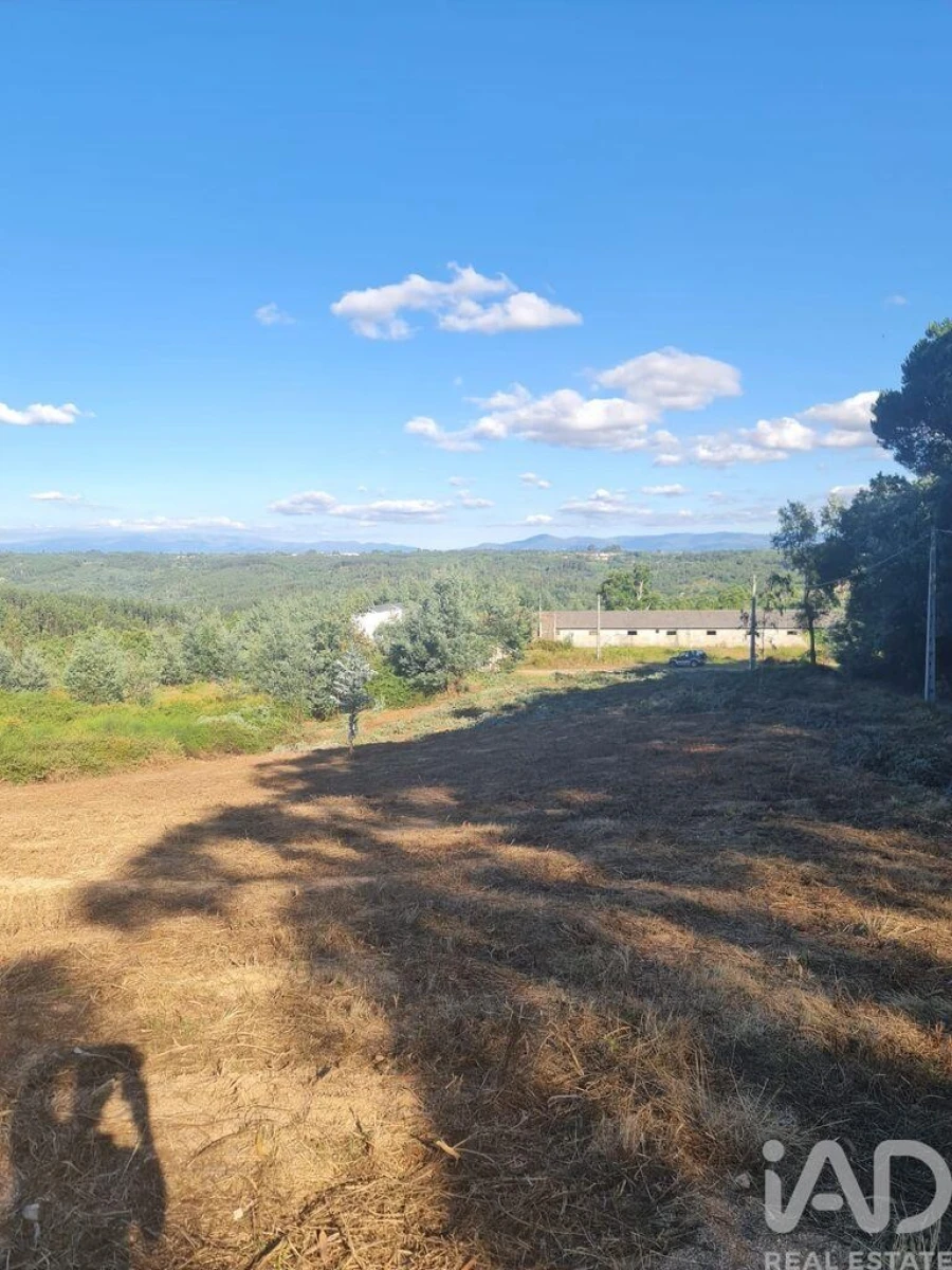 Terreno para Venda em Santa Comba Dão e Couto do Mosteiro Foto 2