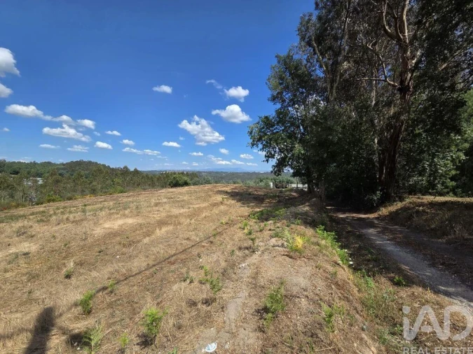 Terreno para Venda em Santa Comba Dão e Couto do Mosteiro Foto 13