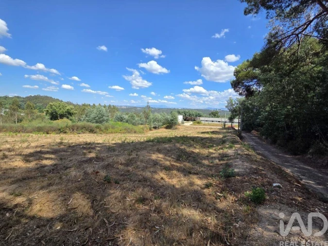Terreno para Venda em Santa Comba Dão e Couto do Mosteiro Foto 21