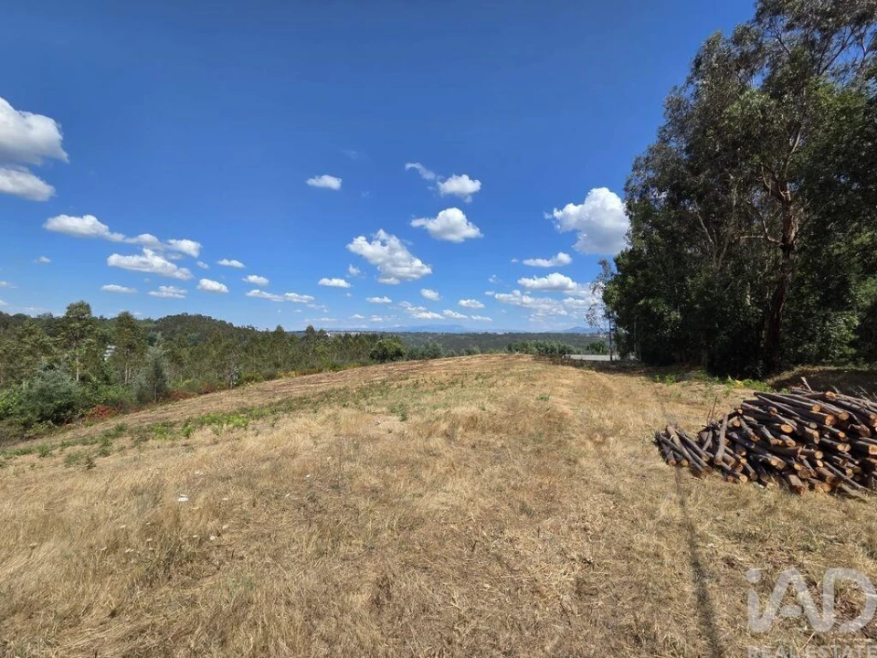 Terreno para Venda em Santa Comba Dão e Couto do Mosteiro Foto 12