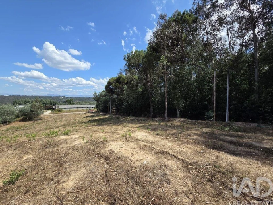Terreno para Venda em Santa Comba Dão e Couto do Mosteiro Foto 17