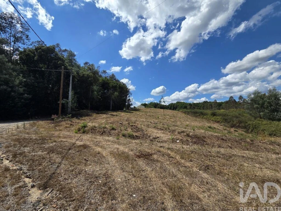 Terreno para Venda em Santa Comba Dão e Couto do Mosteiro Foto 25