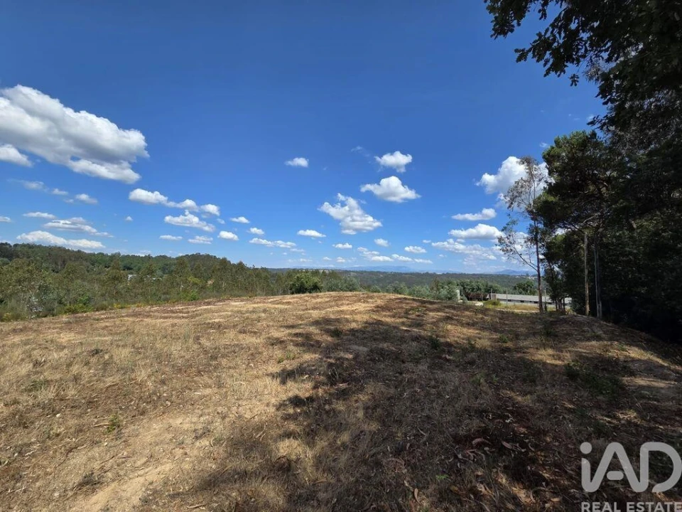 Terreno para Venda em Santa Comba Dão e Couto do Mosteiro Foto 15