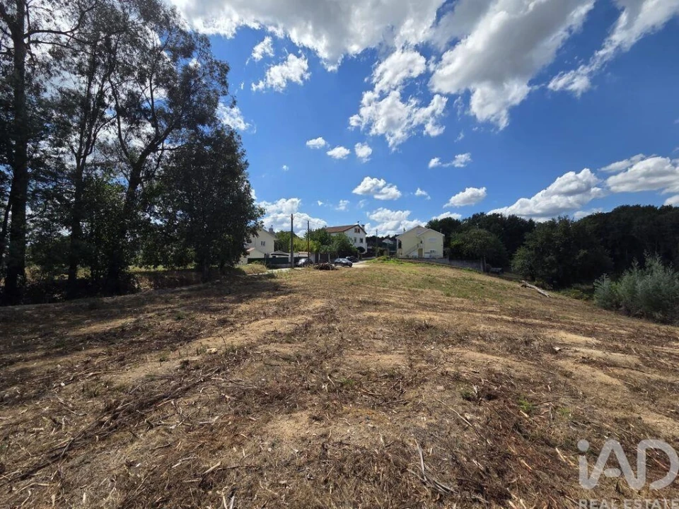 Terreno para Venda em Santa Comba Dão e Couto do Mosteiro Foto 1