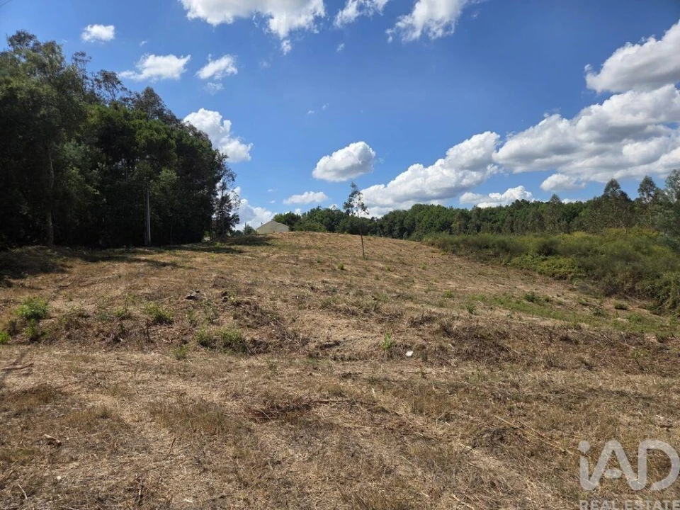 Terreno para Venda em Santa Comba Dão e Couto do Mosteiro Foto 26