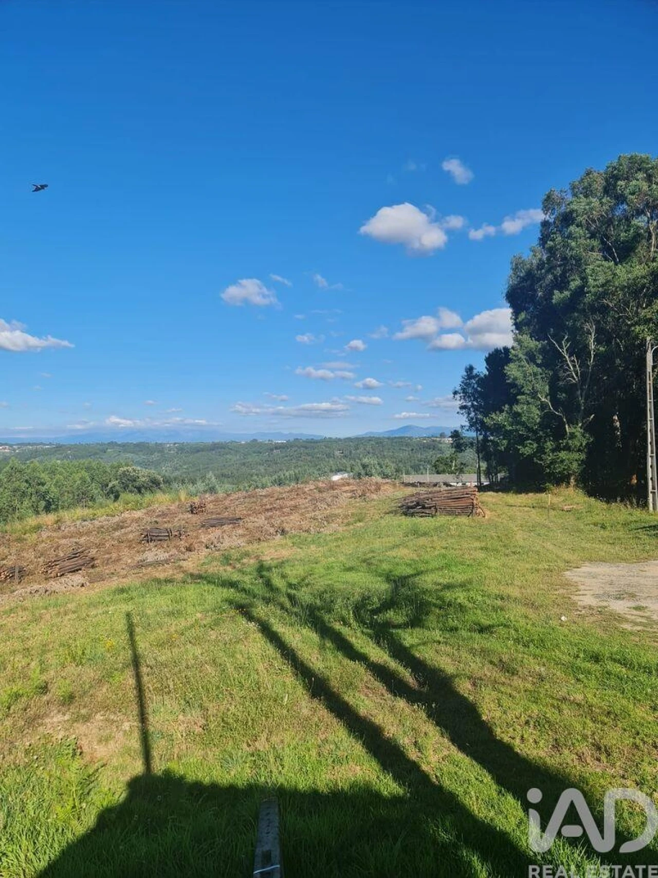 Terreno para Venda em Santa Comba Dão e Couto do Mosteiro Foto 4
