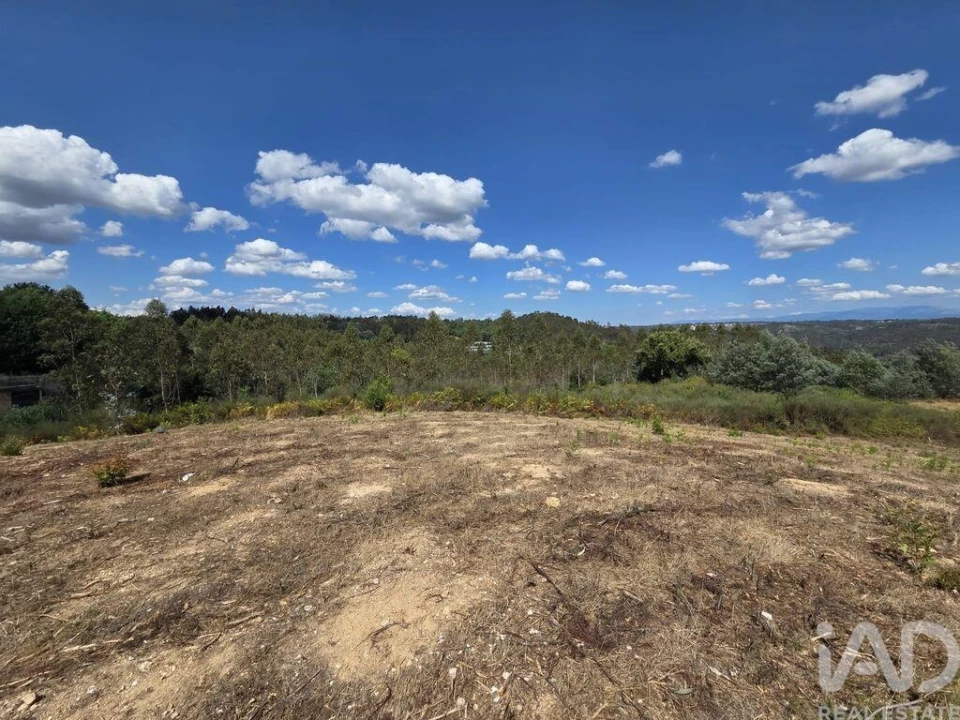 Terreno para Venda em Santa Comba Dão e Couto do Mosteiro Foto 20