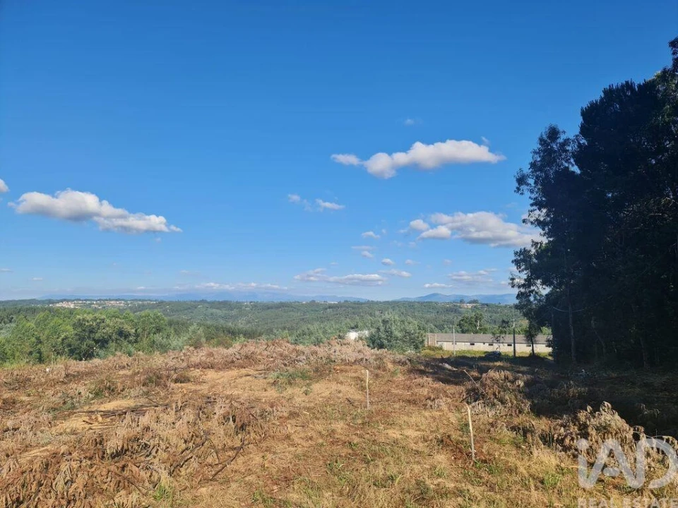 Terreno para Venda em Santa Comba Dão e Couto do Mosteiro Foto 8
