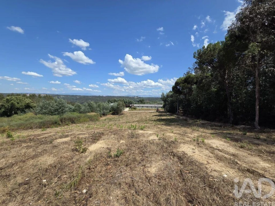 Terreno para Venda em Santa Comba Dão e Couto do Mosteiro Foto 16