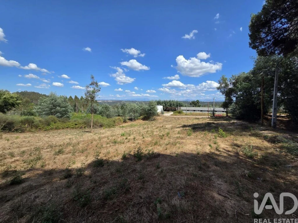 Terreno para Venda em Santa Comba Dão e Couto do Mosteiro Foto 22
