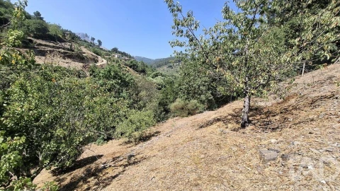 Moradia T3 para Venda em Moura Morta e Vinhós