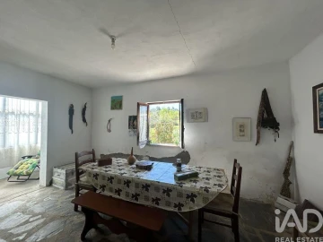 Moradia T5 para Venda em Côja e Barril de Alva