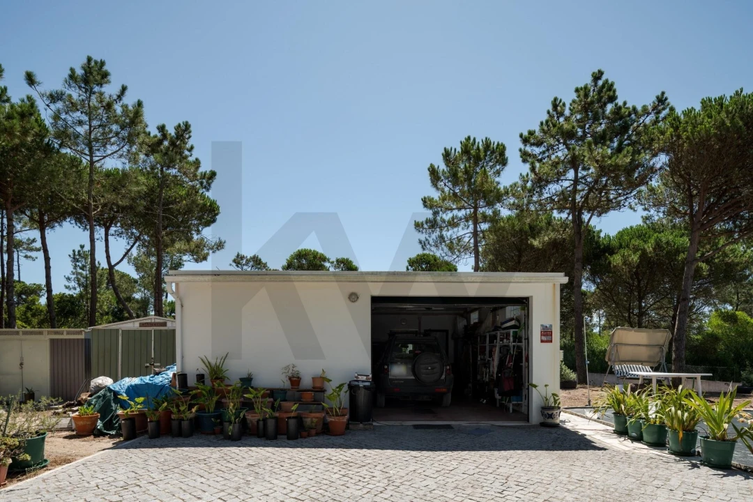 Terreno para Venda em Santa Maria e São Miguel, São Martinho, São Pedro Penaferrim Foto 6
