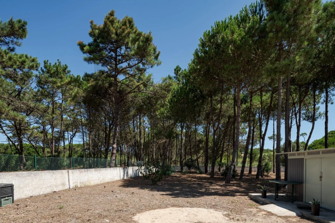 Terreno para Venda em Santa Maria e São Miguel, São Martinho, São Pedro Penaferrim Foto 7