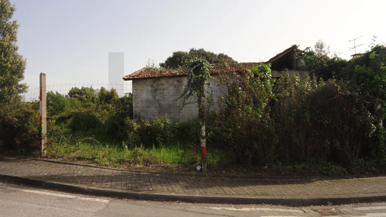 Armazém para Venda em Santa Maria de Lamas Foto 21