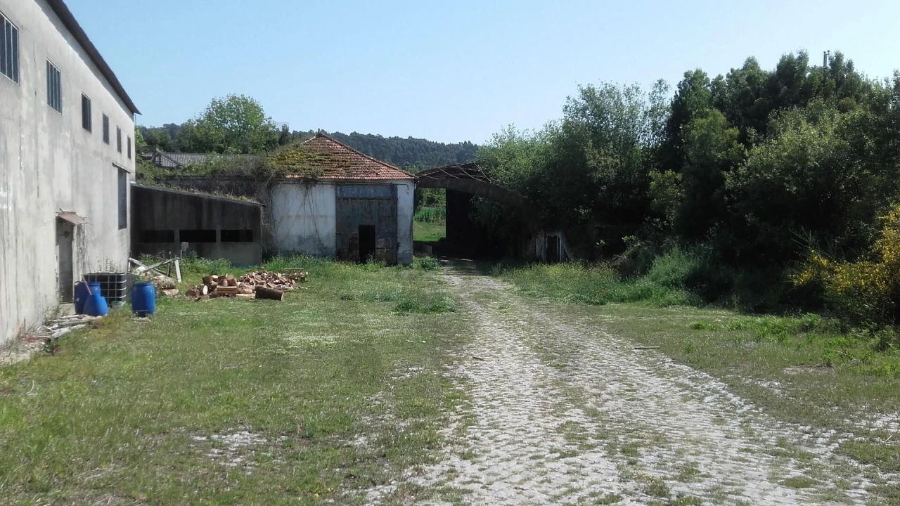 Armazém para Venda em Santa Maria de Lamas Foto 12