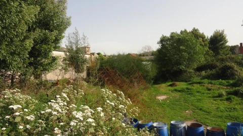 Armazém para Venda em Santa Maria de Lamas