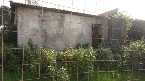 Armazém para Venda em Santa Maria de Lamas