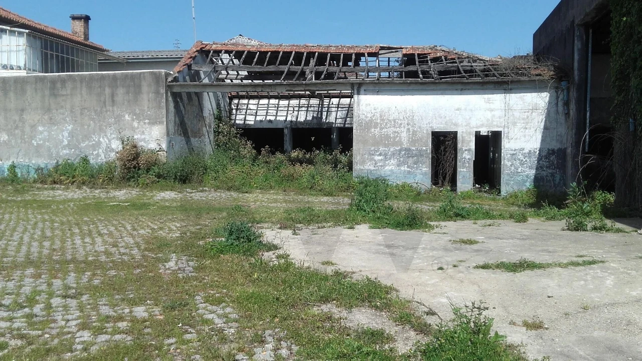 Armazém para Venda em Santa Maria de Lamas Foto 14