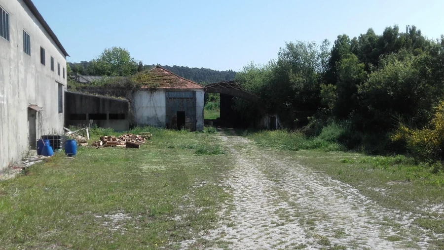 Armazém para Venda em Santa Maria de Lamas Foto 12