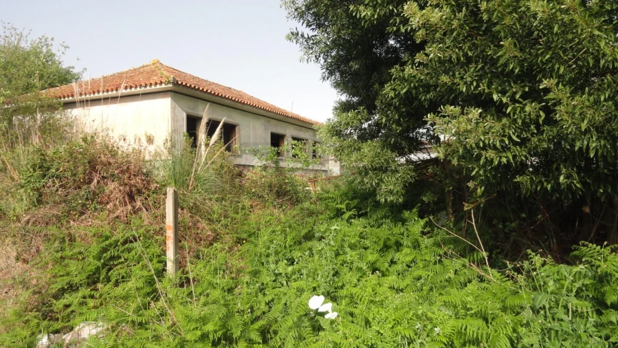 Armazém para Venda em Santa Maria de Lamas Foto 20