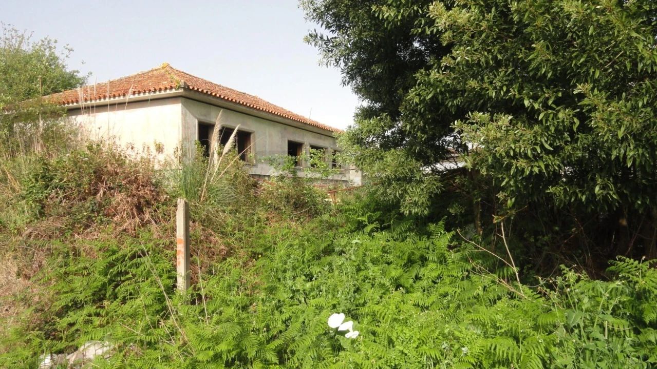 Armazém para Venda em Santa Maria de Lamas Foto 20